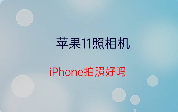 苹果11照相机 iPhone拍照好吗?大概是什么水平？